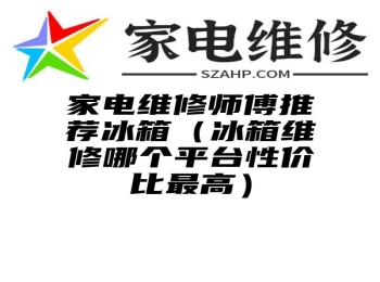 家电维修师傅推荐冰箱（冰箱维修哪个平台性价比最高）