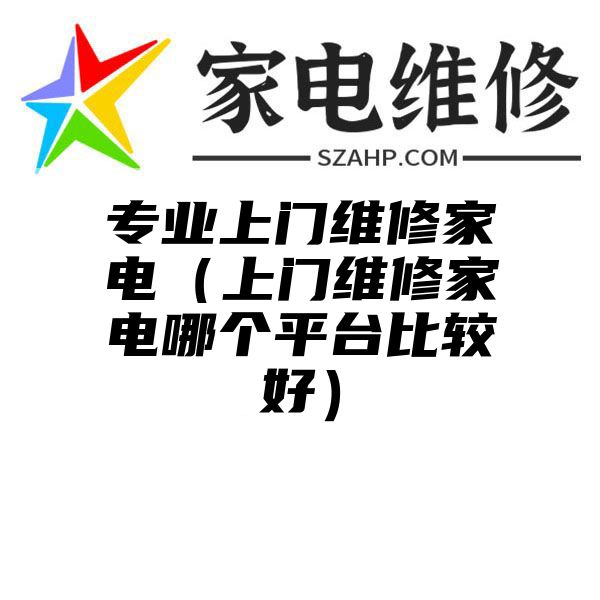 专业上门维修家电（上门维修家电哪个平台比较好）