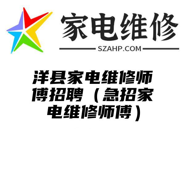 洋县家电维修师傅招聘（急招家电维修师傅）