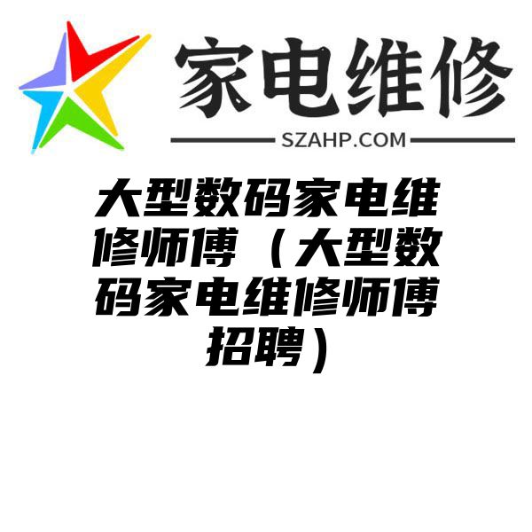 大型数码家电维修师傅（大型数码家电维修师傅招聘）